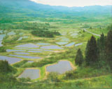 増田敏郎