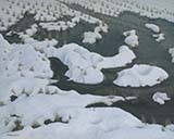 「春を待つ雪田」
